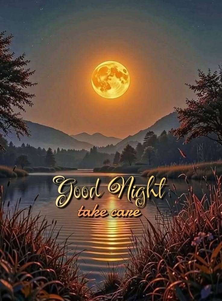 Good night 😴 🌙
May your dreams be kind and your sleep be peaceful.
©
Connect 🤝✅