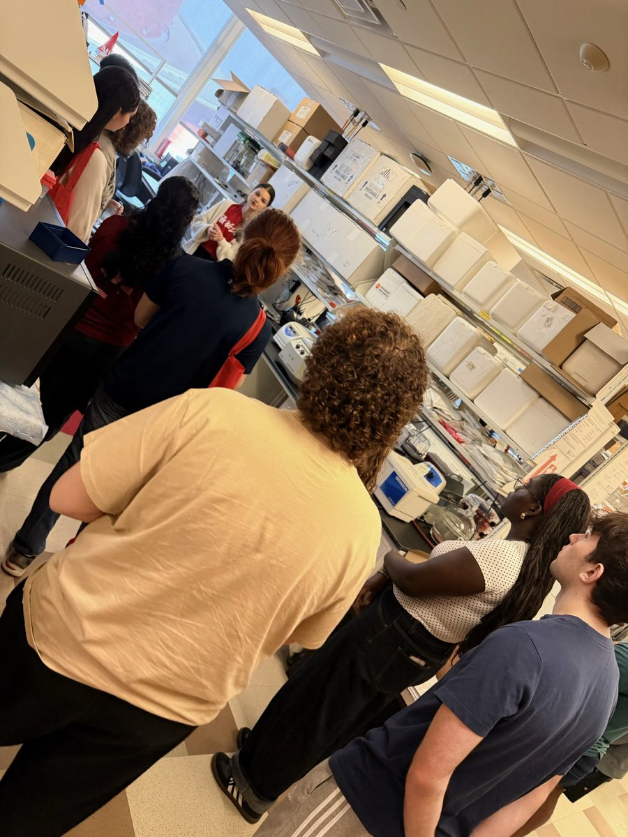 UH Biomedical Engineering tweet media