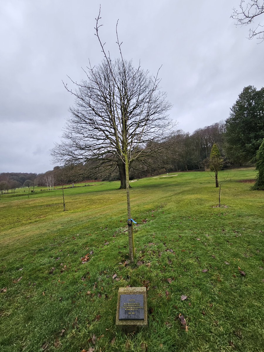 CowshedBootboy's tweet photo. And here’s his memorial cherry tree at Woodsome Hall Golf Club. #HTAFC Legend https://t.co/M4FsH5ZbV2