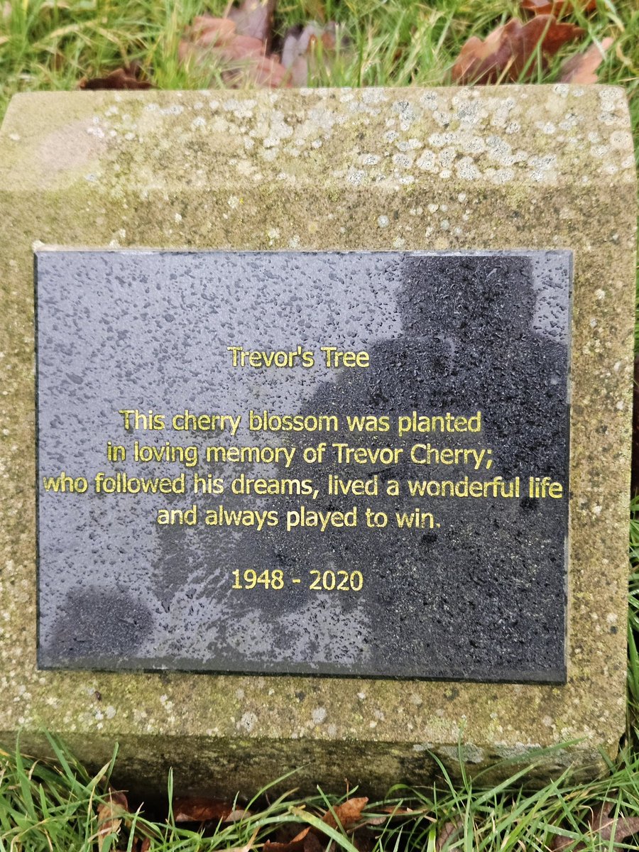 CowshedBootboy's tweet photo. And here’s his memorial cherry tree at Woodsome Hall Golf Club. #HTAFC Legend https://t.co/M4FsH5ZbV2