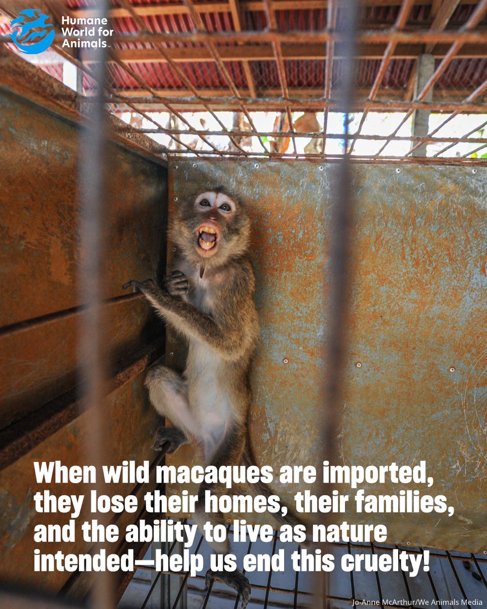 Humane World for Animals Canada tweet media