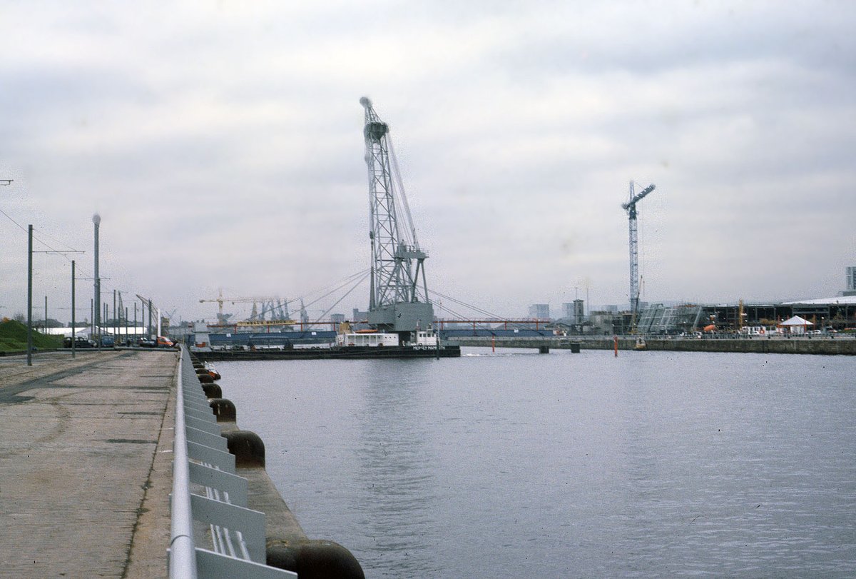 After the Garden Festival... tweet media