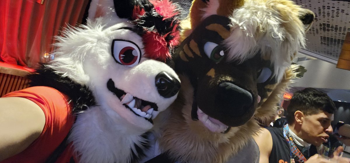 Denyern 狼 🐺 🔜 Ibercon tweet media