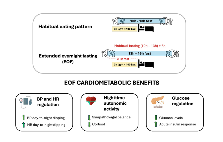 Dr. Rhonda Patrick tweet media