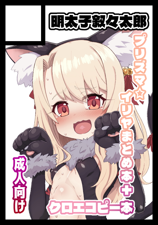 2スペース申し込んだのでサクカがいっぱいあります 