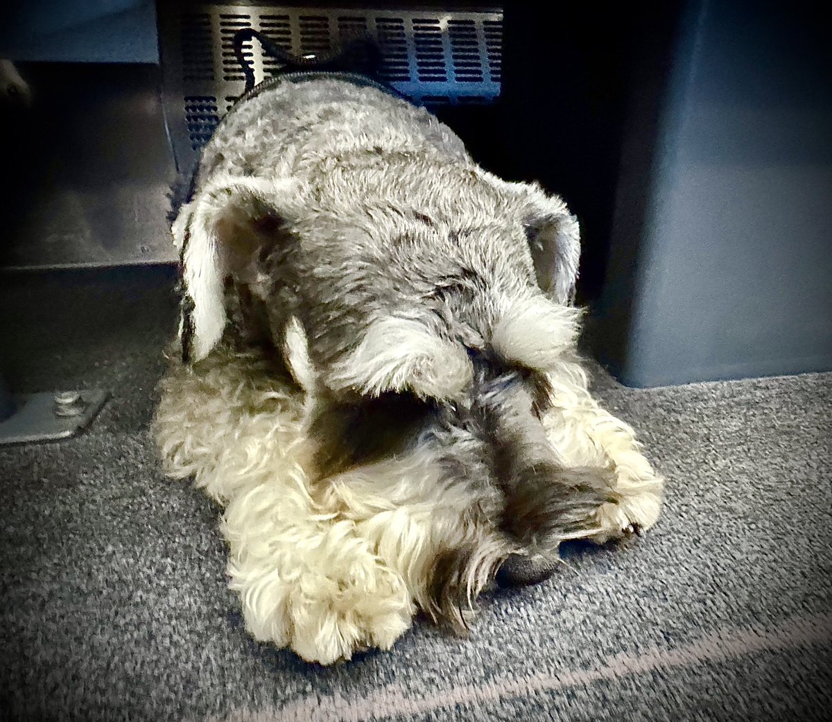 Kieran Brown #FRSA 🏴🇪🇺🏳️🌈 tweet media