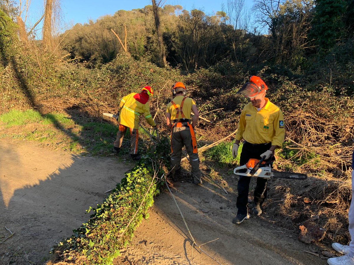 ADF Serra de Marina tweet media