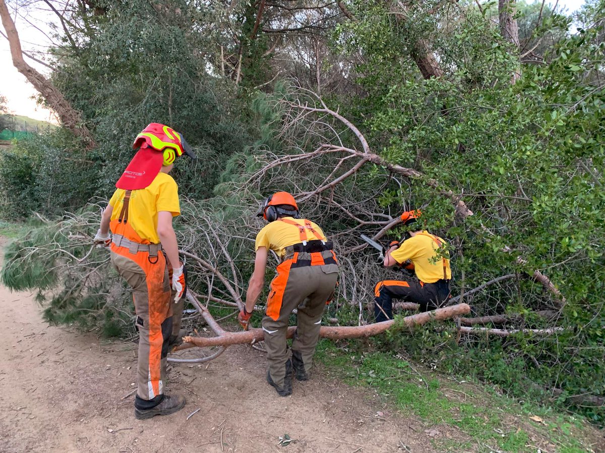 ADF Serra de Marina tweet media