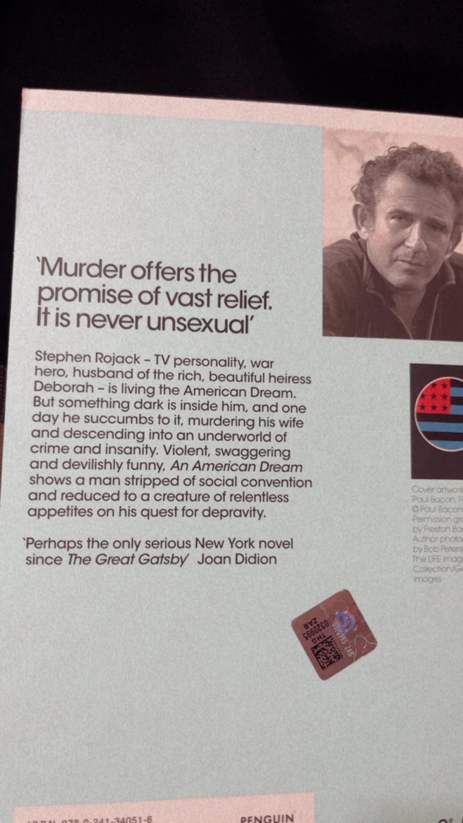 lilithfemf's tweet image. “Murder offers the promise of vast relief. It is never unsexual.” 
#currentlyreading #mailer