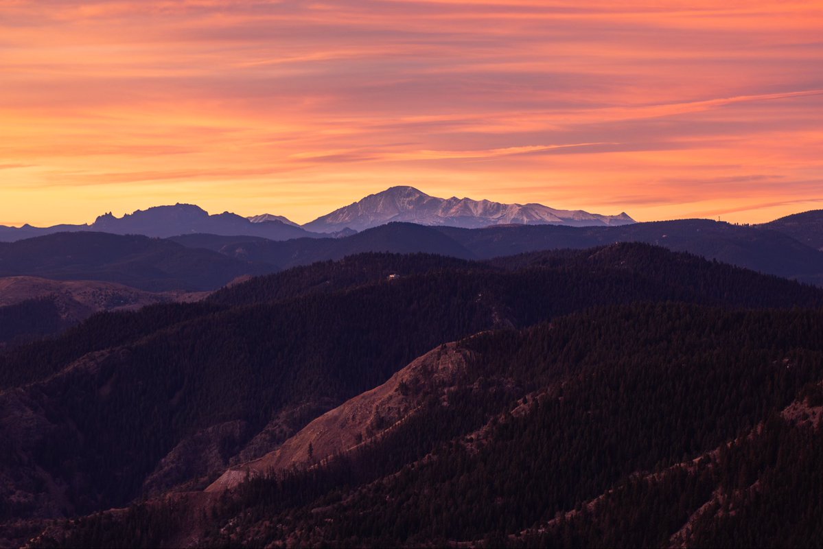 Mike Kvackay tweet media