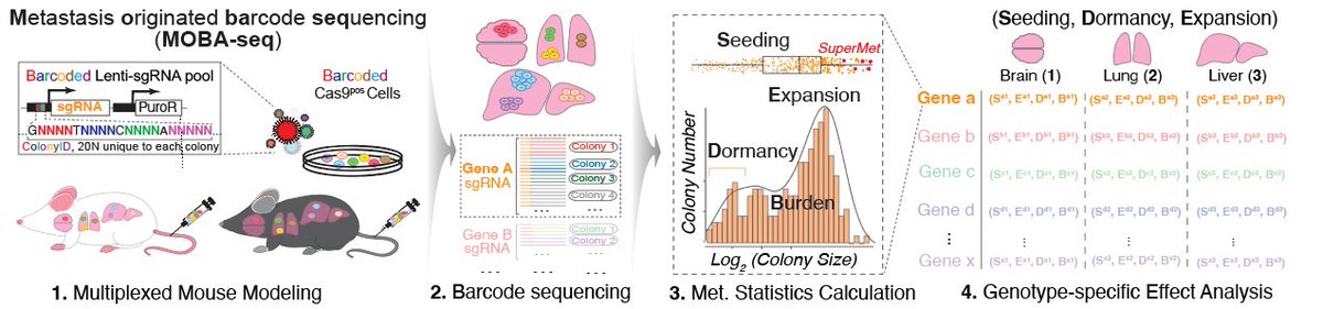 Tang Lab tweet media