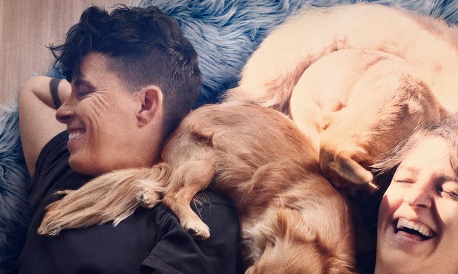 halifaxbloggers's tweet image. NEW: How To Make A Killing, Crime 101, and Oscar-nominated documentaries. The latest edition of The Knox Office on CBC Radio, with Carsten Knox:

halifaxbloggers.ca/flawintheiris/…

#moviereview #theknoxoffice #cbcradio @FlawInTheIris @cbcradio