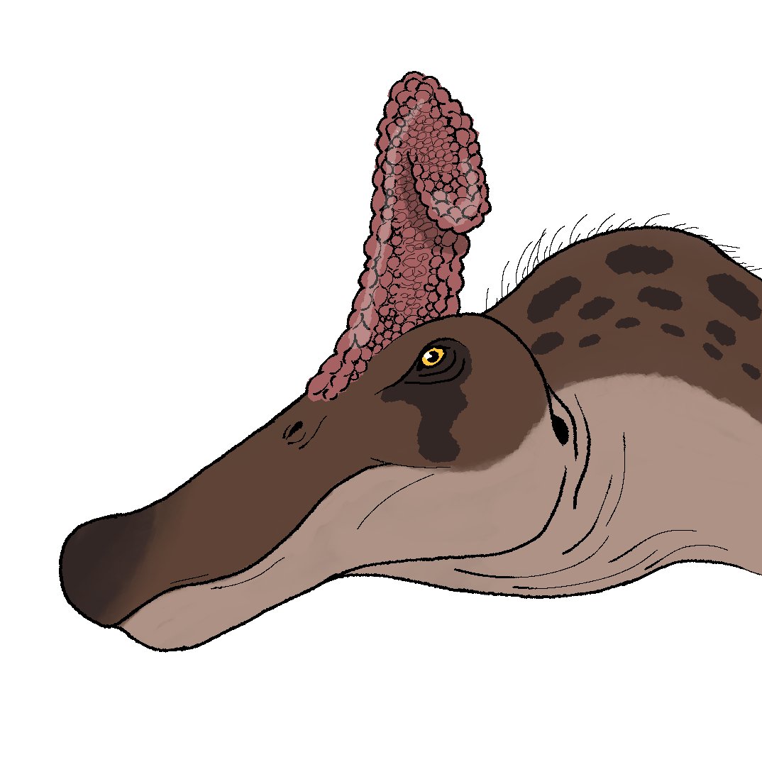 🌸Cassandra🌸🏳️⚧️🦕🖌️ tweet media