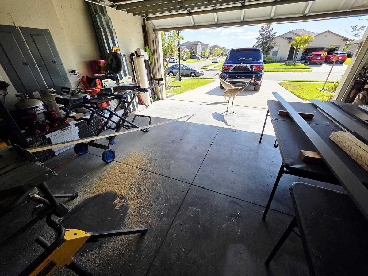 The Lectern Guy🇺🇸 tweet media