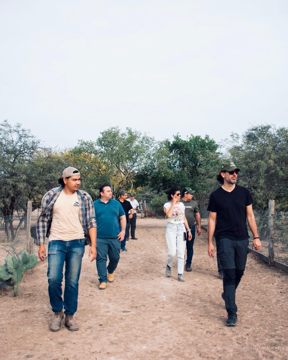 PNUD Paraguay tweet media