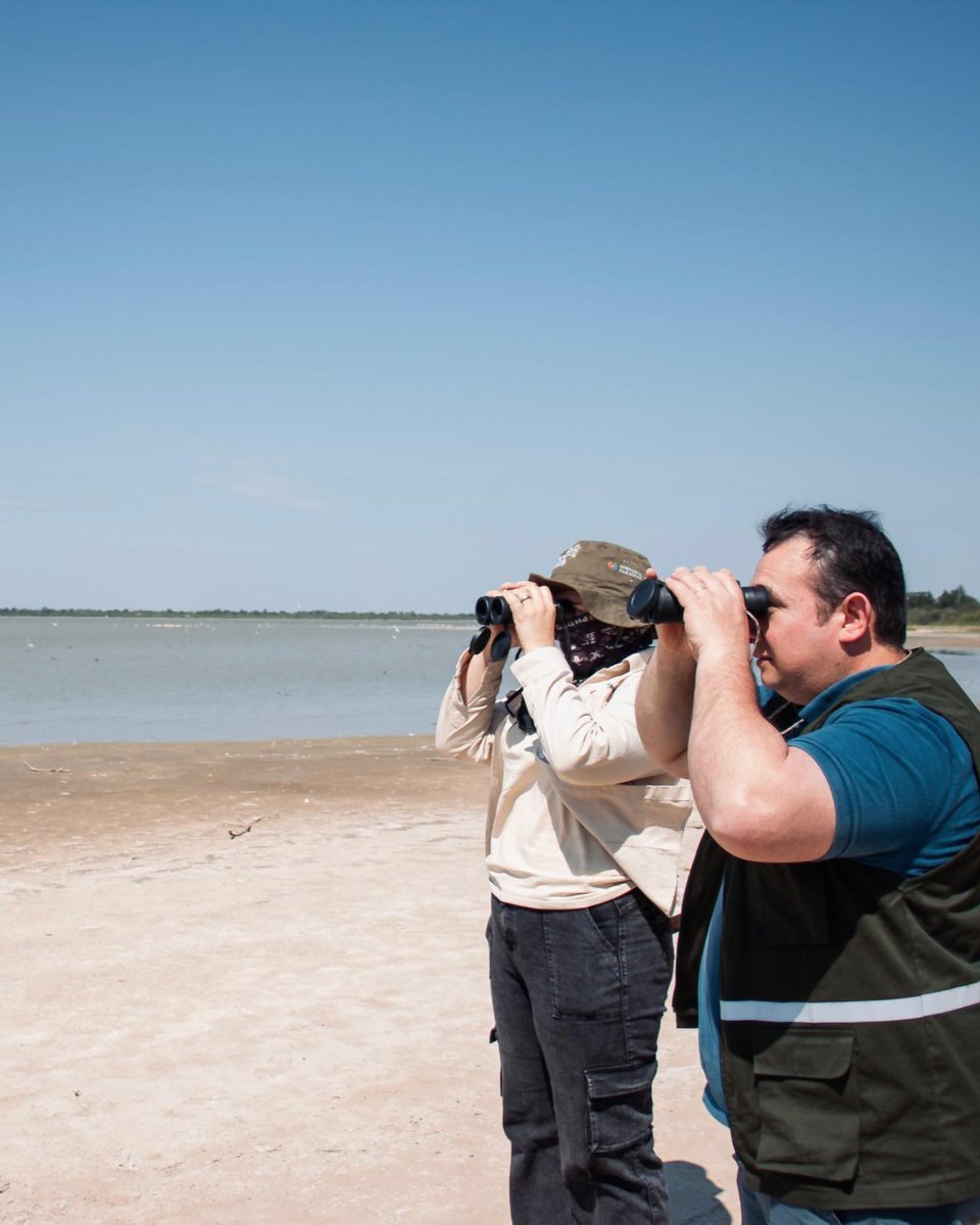 PNUD Paraguay tweet media