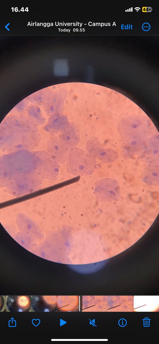 ˚⋅ ꪆৎ maca²⁵ ☤ •。 tweet media