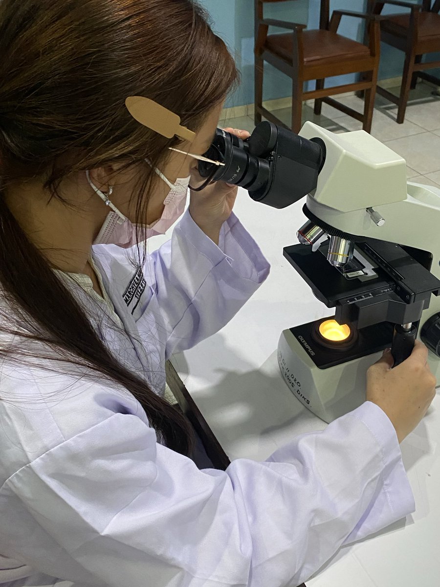 ˚⋅ ꪆৎ maca²⁵ ☤ •。 tweet media