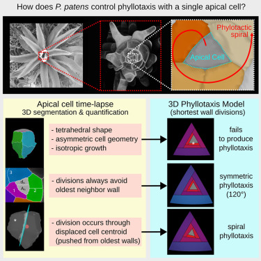 Richard Smith Lab 🇺🇦 tweet media