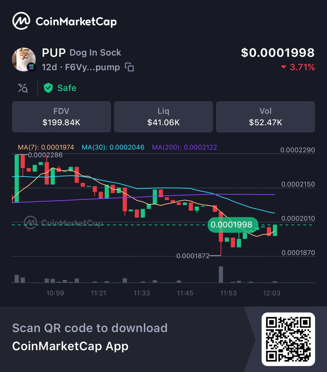 Check charts on coin market cap.

Hey, check this out!
👀PUP $0.0001953 FDV $195.31K Volume 24h $52.39K <a href="/CoinMarkCap/">CoinMarkCap</a> 🚀
dex.coinmarketcap.com/token/Solana/F…