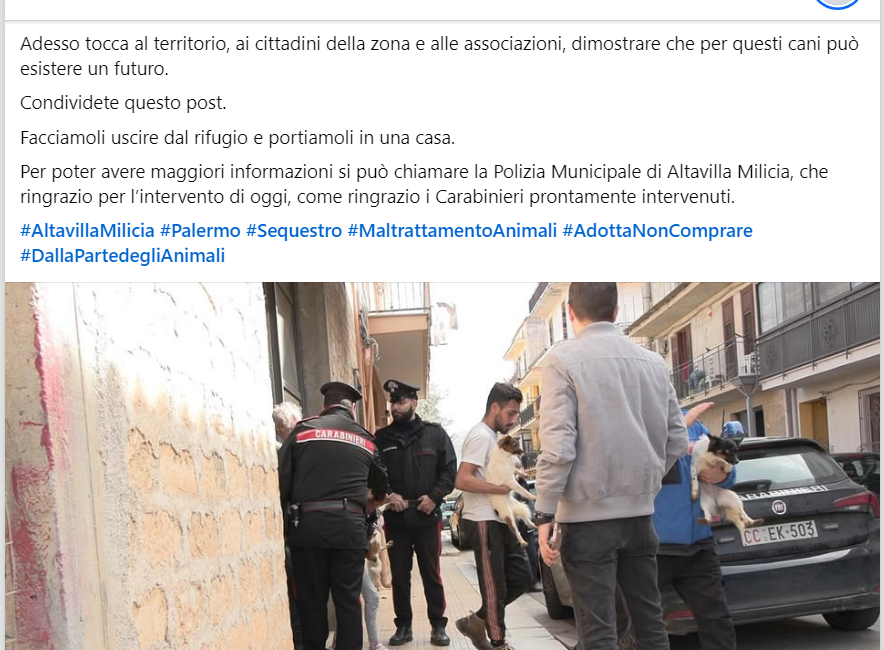 URGENTE🆘🆘🆘🆘🐕 chiamare la Polizia Municipale di Altavilla Milicia🙏
facebook.com/enricorizzioff…   grazie Rizzi 💪,aiutiamo queste creature cercano famiglia  #4voiceless ALTAVILLA MILICIA (PA) – 4 CAGNOLINI SEQUESTRATI #adotta #AdottaNonComprare