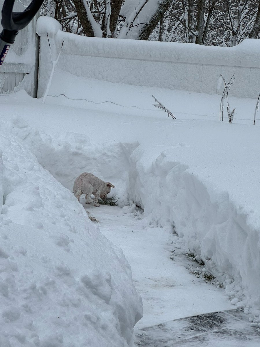 matthew  boder tweet media