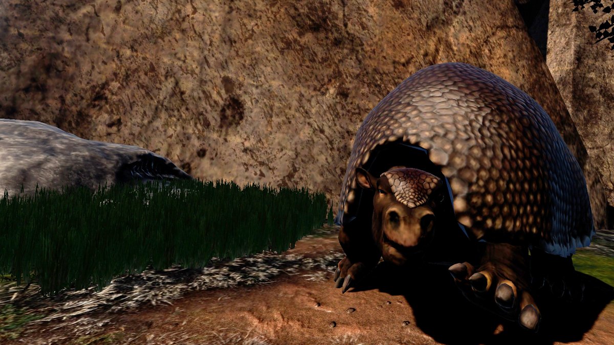 Neolithic Dawn tweet media