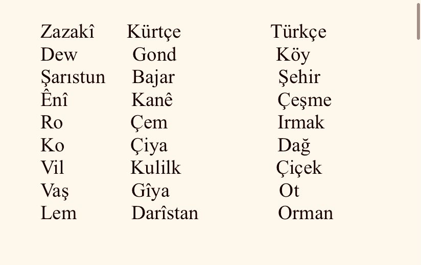 cuma karaman tweet media