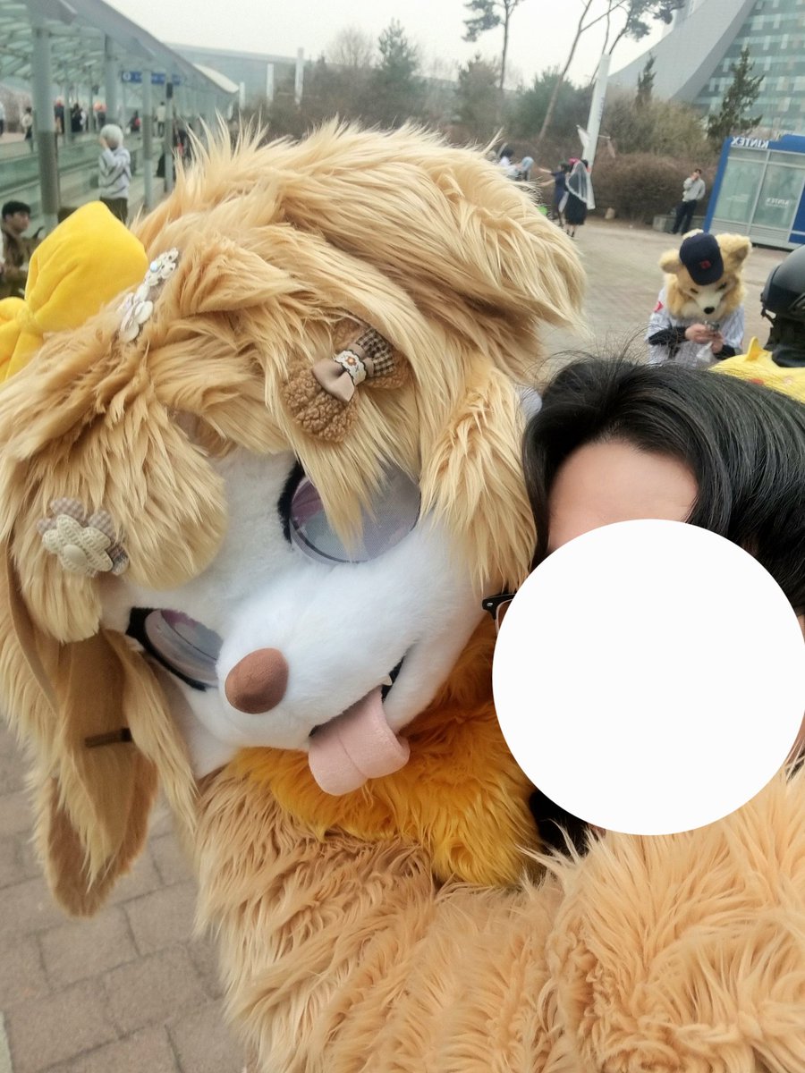 프라우 Frau ➡️ 3부코 tweet media