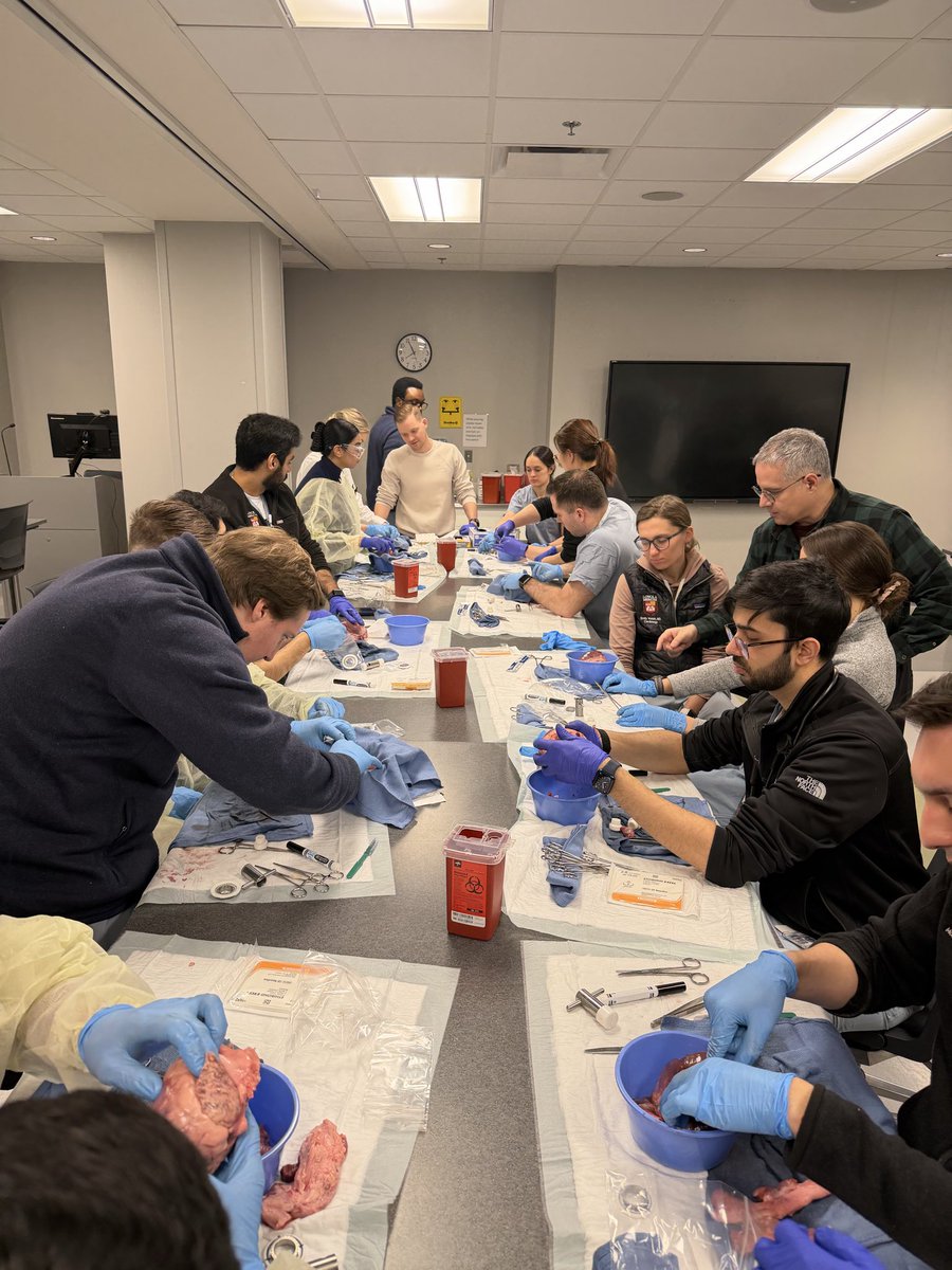 Loyola Cardiology Fellows tweet media