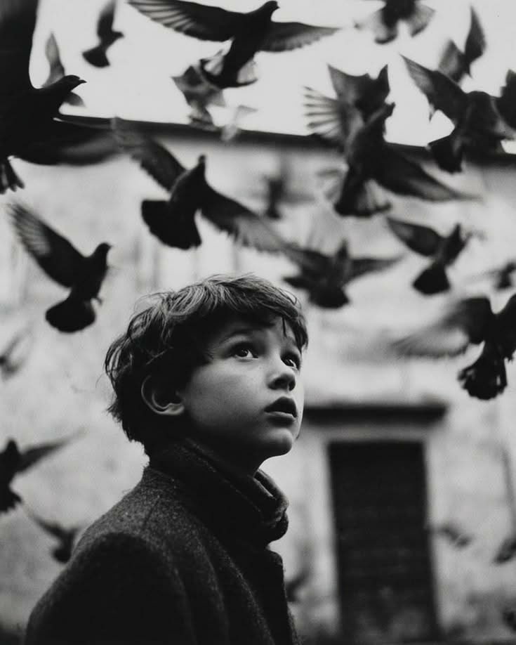 ‏خـؔـۧۛـ𝆊۬اکسـﹷٰ۬ﹷٰ۬͢ᤢﹷٰ۬ﹷٰ۬ﹷٰ۬ـار tweet media