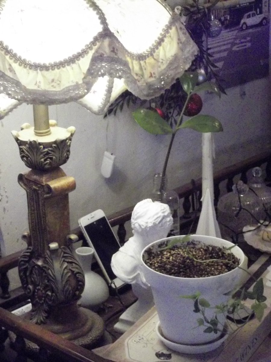 플래쉬 켜기 힘들어서 포기하고 찍음..