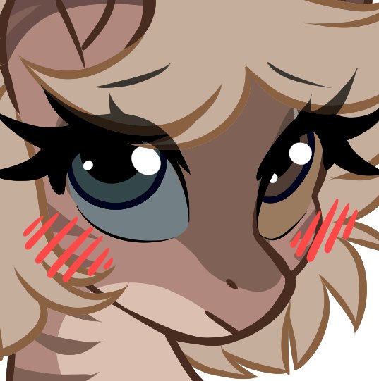 🌿 Amyquel 🔜 LIFC2026 tweet media