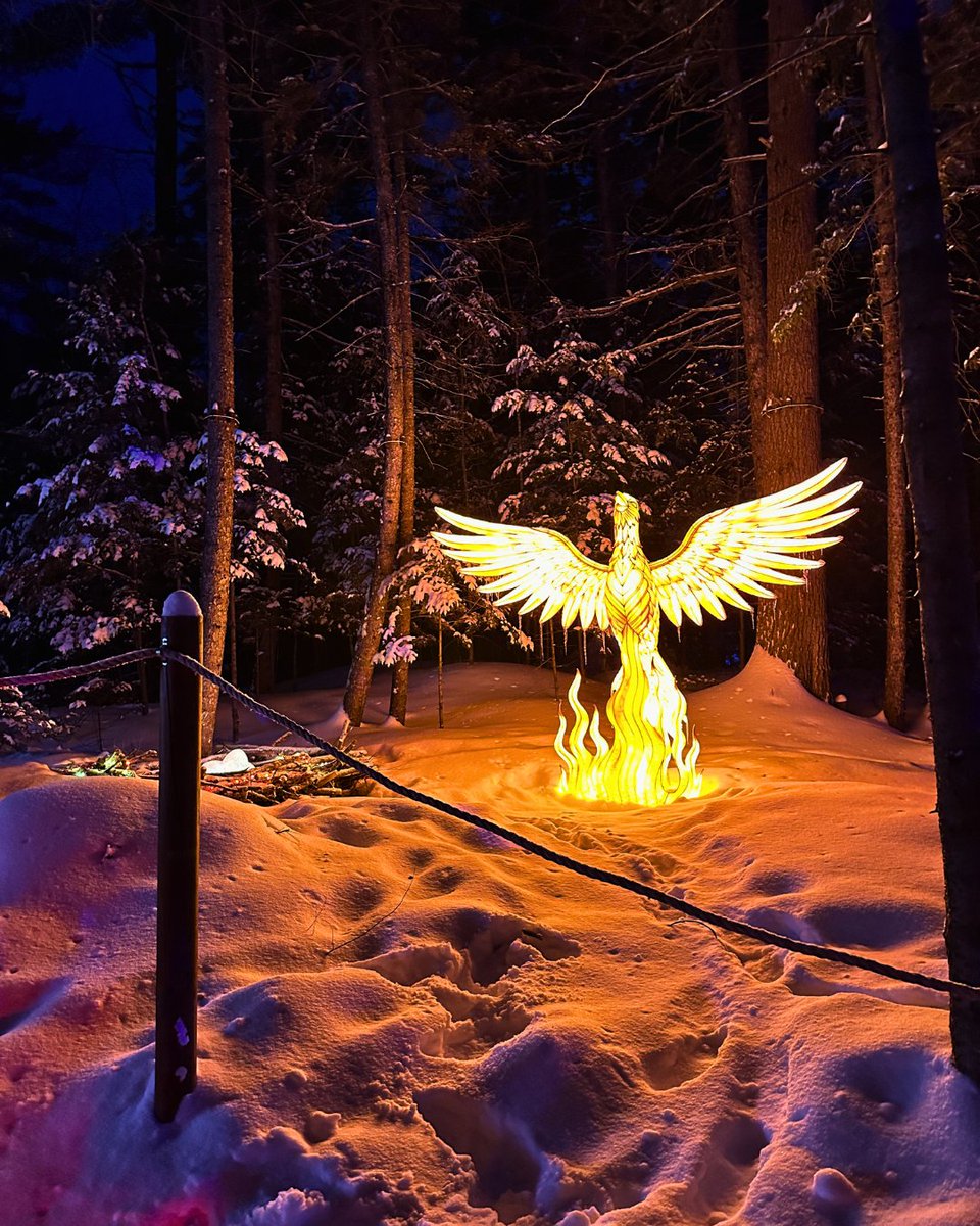 Leap Event Technology tweet media