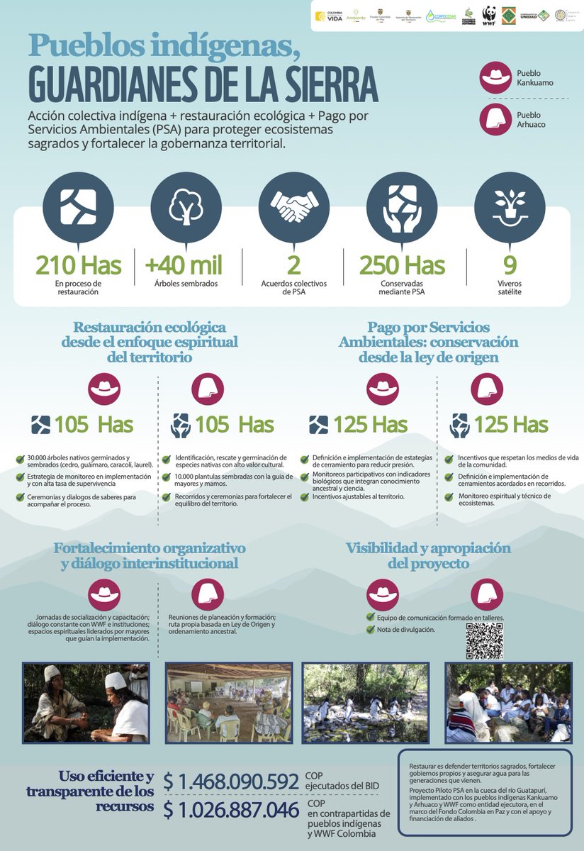 Esto es lo que los guardianes del río Guatapurí han hecho posible. Así se conserva la biodiversidad desde una visión indígena 👇 wwf.org.co/?399130/Rio-Gu…