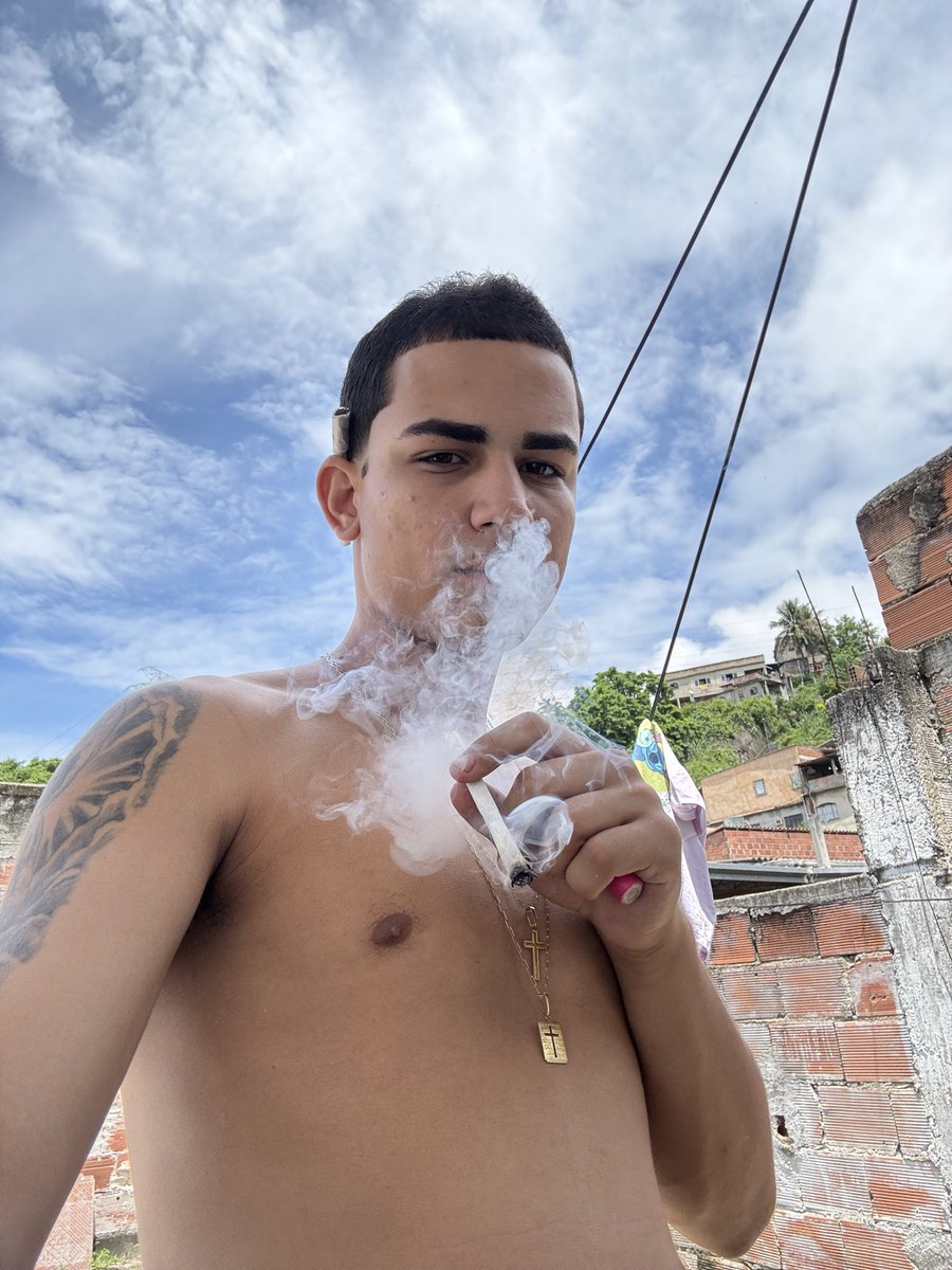 insta:yuriizinho__ tweet media