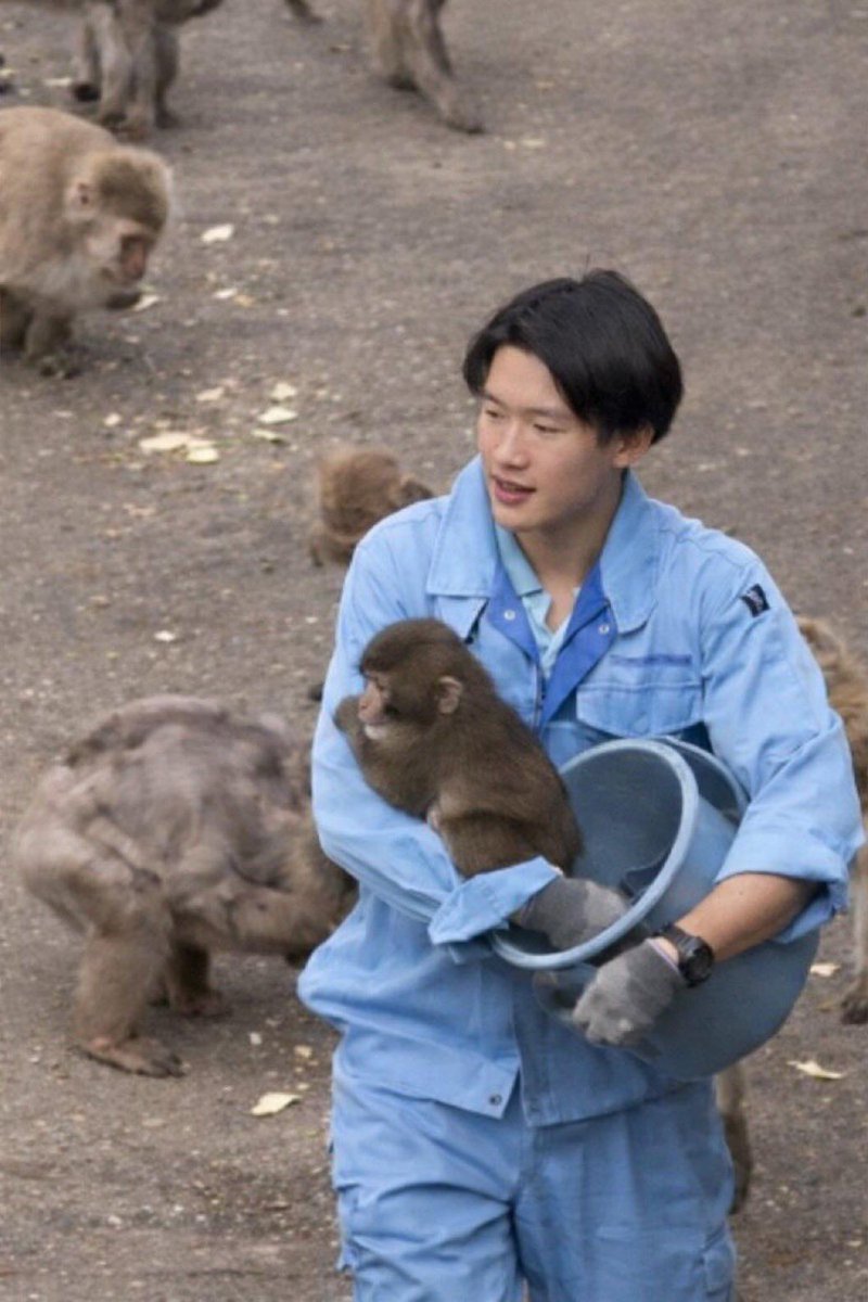 The closest and clearest image of Little Punch and his caregiver.
