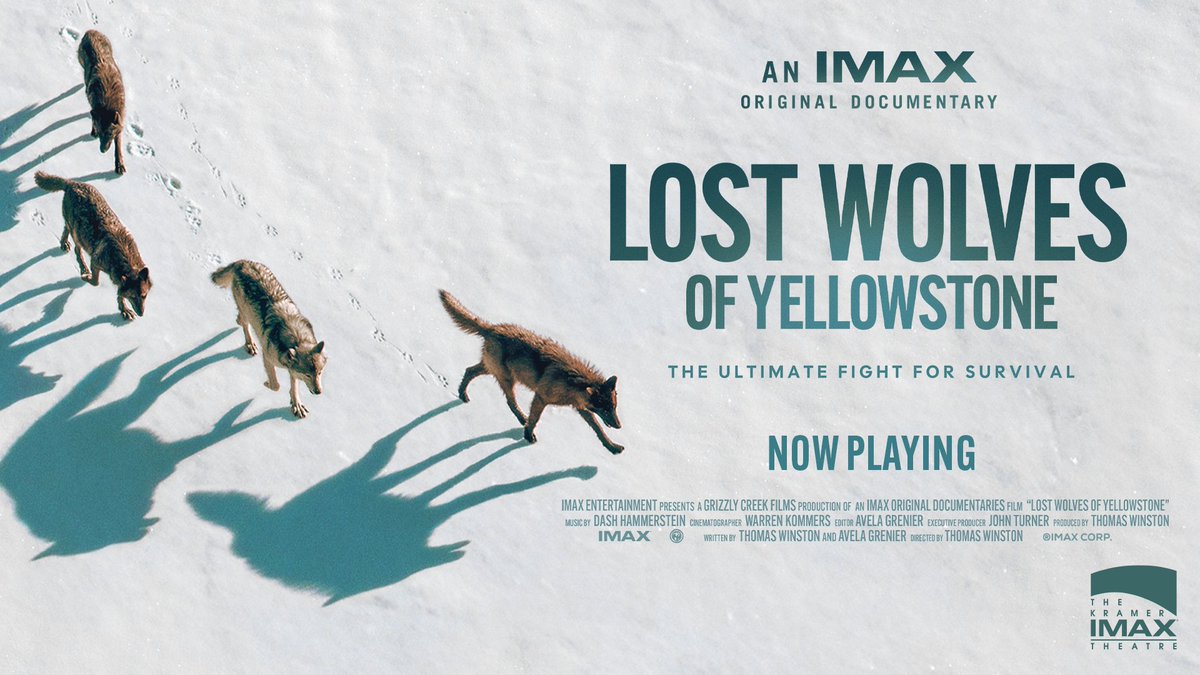 Sask Science Centre tweet media