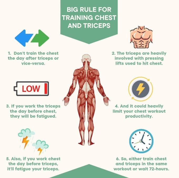 FiveFitness's tweet image. You wanna build and get the best results for your chest and triceps? Find out how below! 👇 

#Rules #Gym #Gains #Muscle #Results #Workout #Nutrition