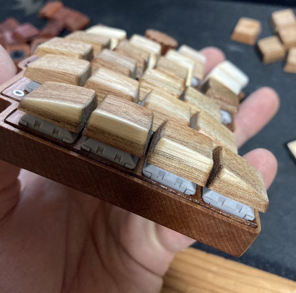 えんたしす tweet media