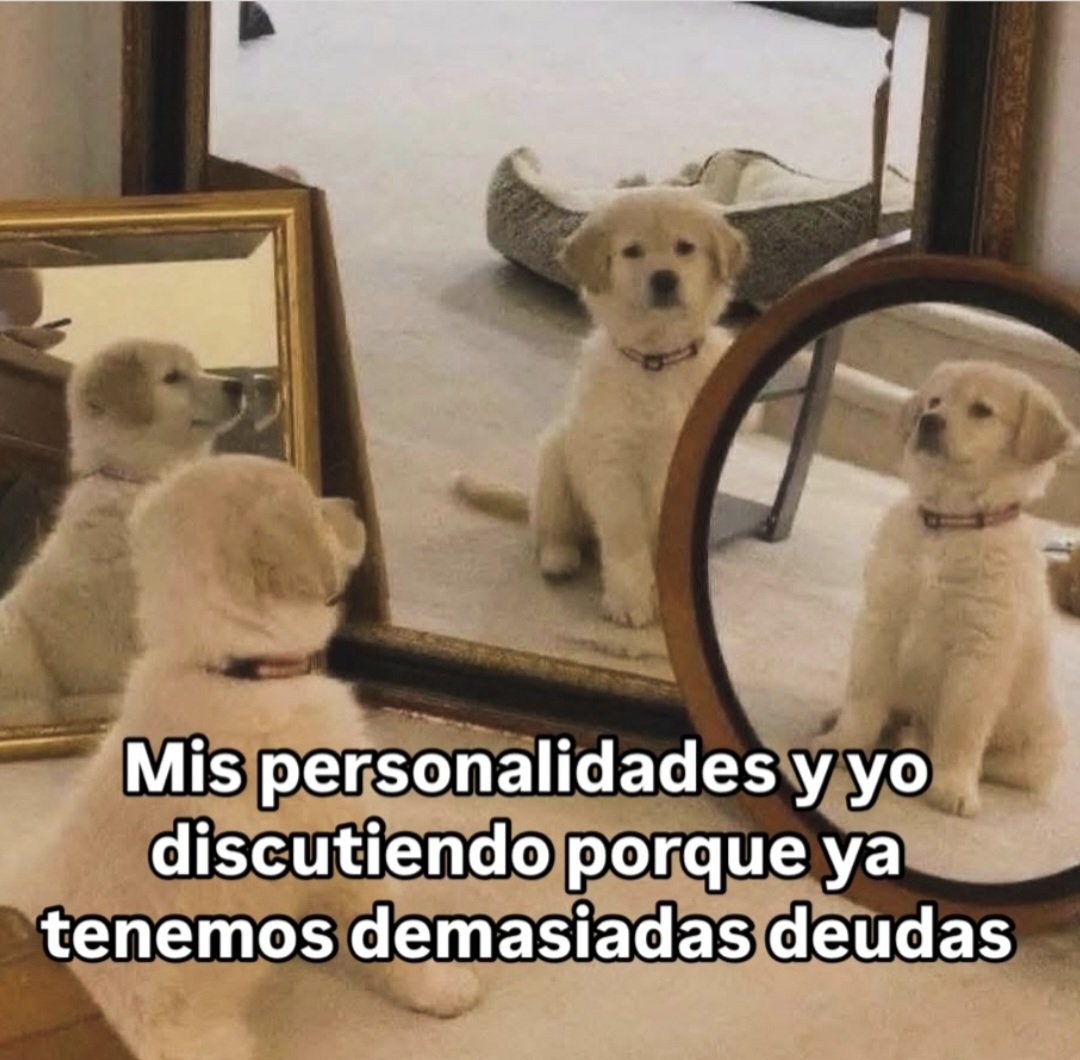 Animalitos en aprietos. tweet media