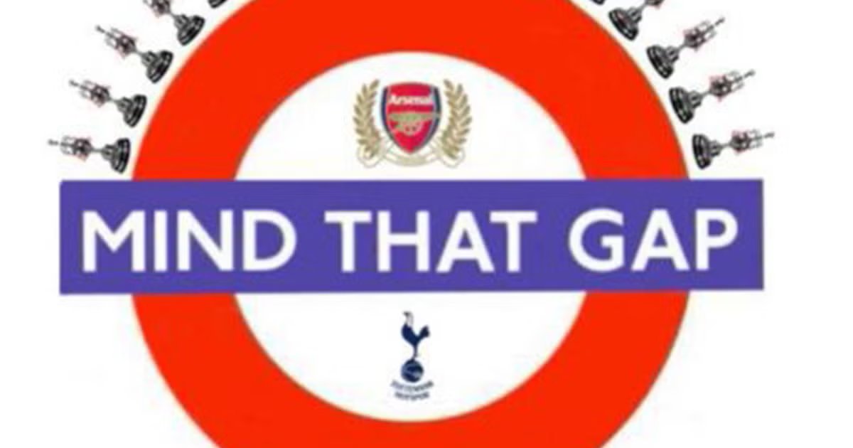 TrollSideFC's tweet photo. Tottenham fans talking about ‘the project’ like it’s a Netflix series with unlimited seasons 😭 Meanwhile Arsenal’s busy winning derbies and Spurs are busy calculating how many points keep things ‘mathematically safe’ 😂 https://t.co/Zz7KDFxvFo