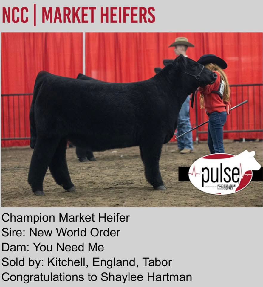 mattlautner's tweet image. The sign of high quality livestock! #NewWorldOrder 

Congrats Dalton Hartman Family of Tecumseh, Nebraska 

-Champion Market Heifer On Saturday 
-Champion Chi Breeding Heifer On Sunday 
-2026 Nebraska Cattleman’s Classic

Raised By Gabe Meis: Council Bluffs, Iowa

#NWO #ESSBulls