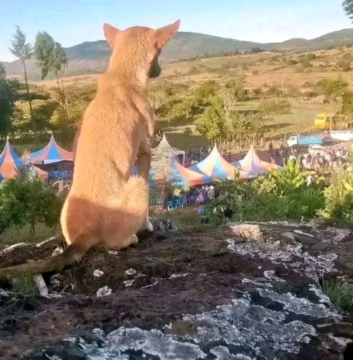 Evening gains, anyone.