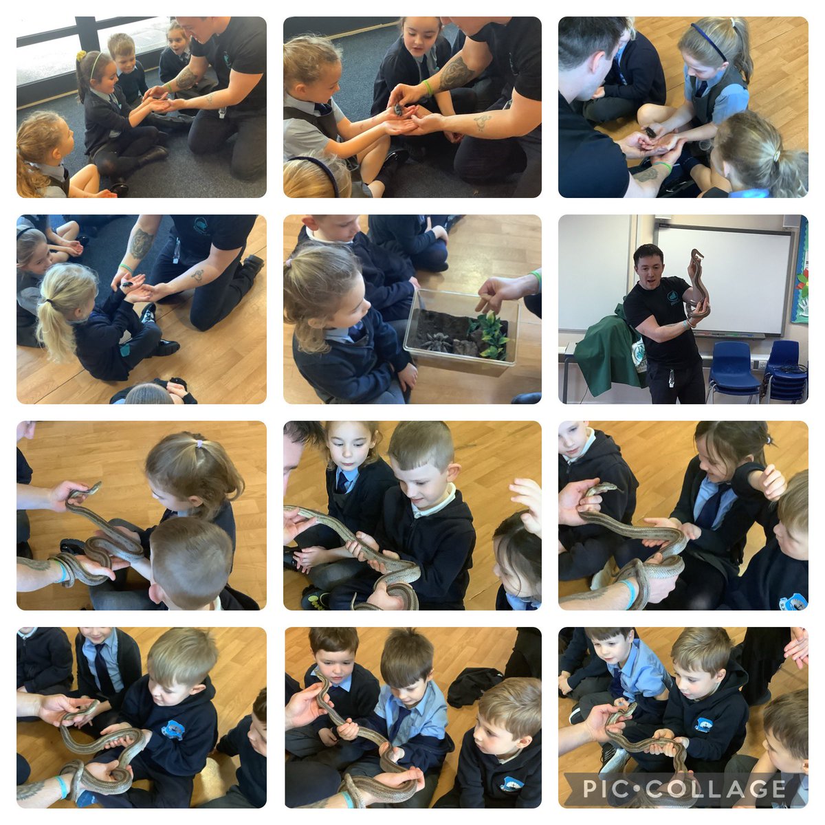 Y1@St James’ tweet media