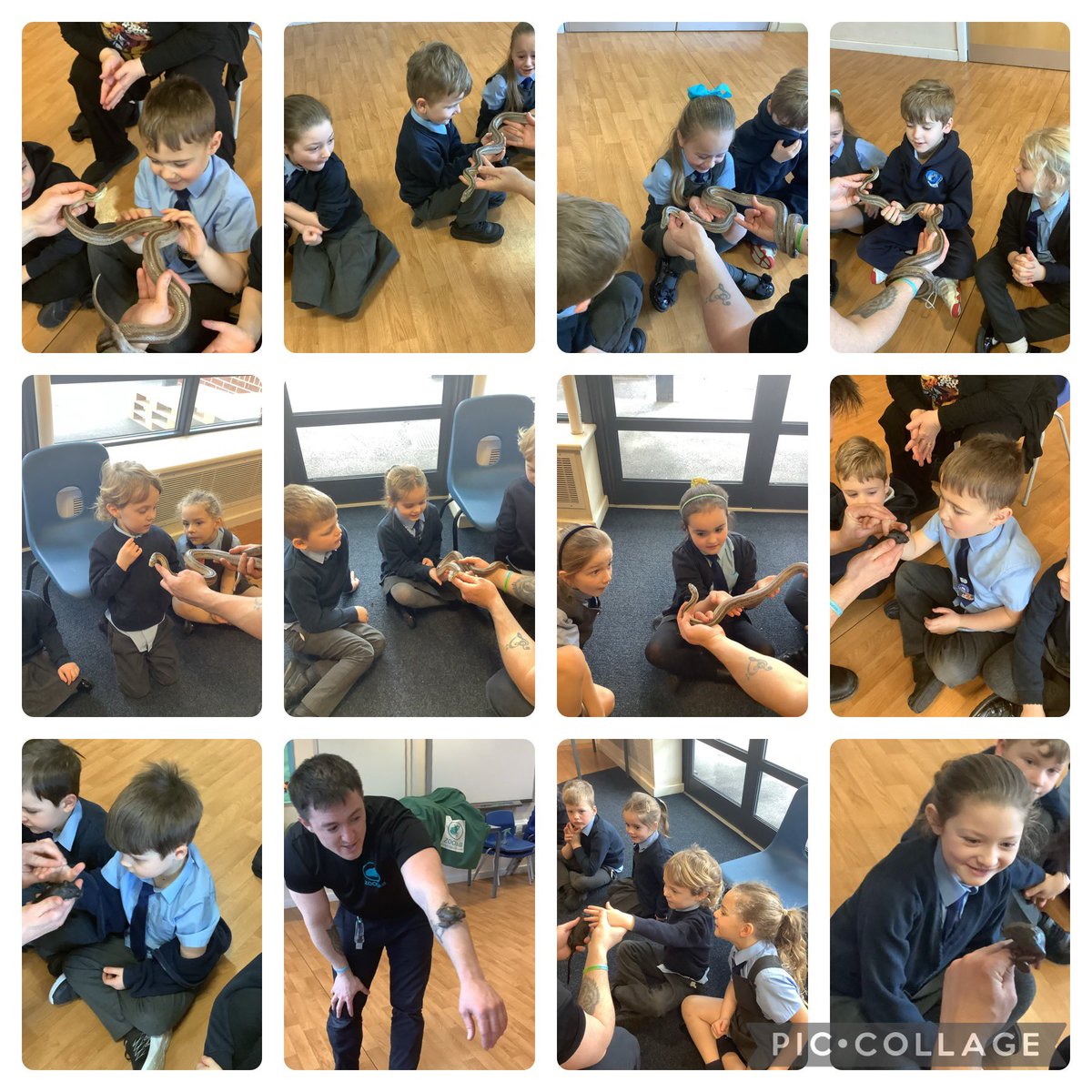 Y1@St James’ tweet media