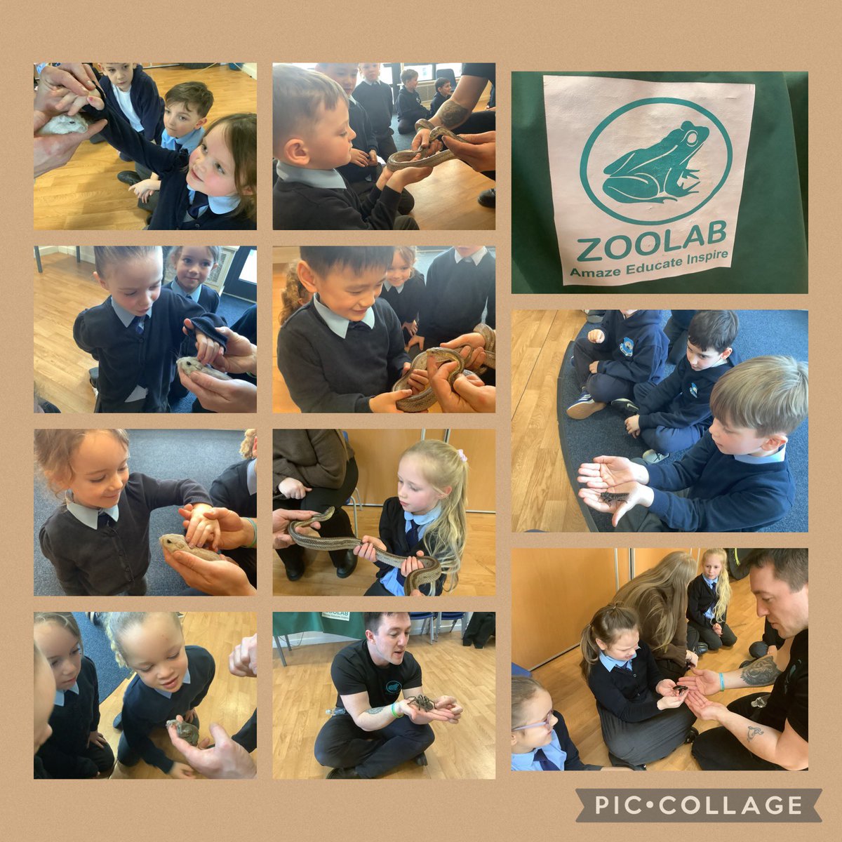 Y1@St James’ tweet media