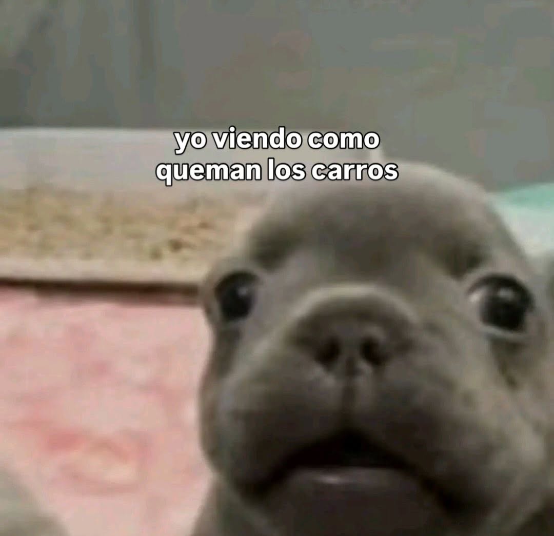 Maestre Mapaxito (@mapaxitouwu) on Twitter photo 