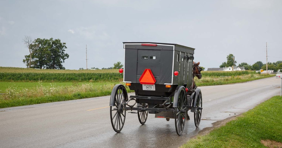 ElkhartCountyIN's tweet photo. Road trip, anyone? 🚗✨
Explore Elkhart County without breaking the bank! Check out this list of budget-friendly activities. https://t.co/dT5cK9gR5l
Local? What’s your go-to free thing to do here?
#INElkhartCo #FreeThingsToDo
📸 Scenic drive along the Heritage Trail https://t.co/fzI9FLSweF