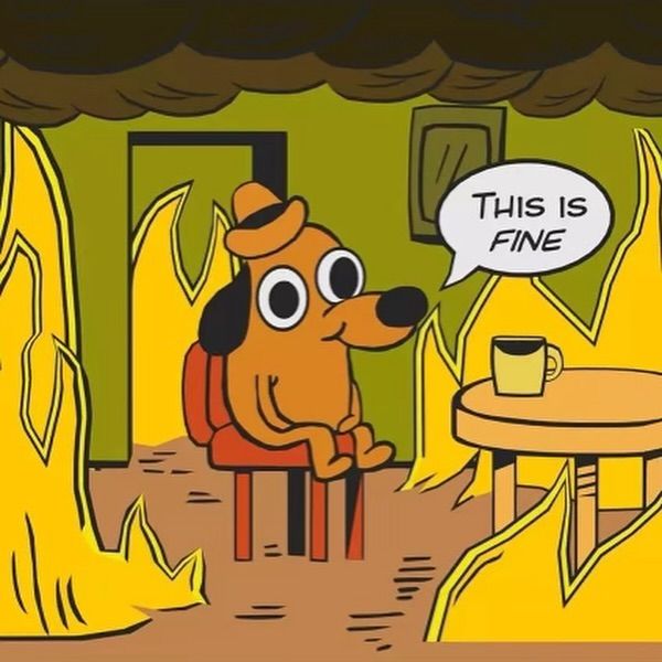 Pontem Labs tweet media